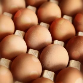 Πόσο φρέσκα είναι τα αυγά που έχετε;