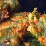 Marathokeftedes1